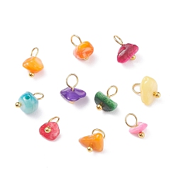 Golden Natural Chip Dyed Shell Charms, with Brass Loops, Mixed Colors, Golden, 8~9x5~10x4.5~7mm, Hole: 3.5mm