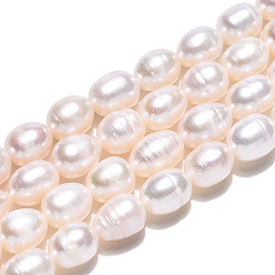 Seashell Color Natural Cultured Freshwater Pearl Beads Strands, Rice, Seashell Color, 6~7.5x5~6mm, Hole: 0.7mm, about 43pcs/strand, 13.19~13.39 inch(33.5~34cm)
