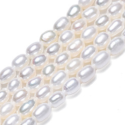 Seashell Color Natural Cultured Freshwater Pearl Beads Strands, Rice, Seashell Color, 5~6x3.5~4mm, Hole: 0.7mm, about 71~74pcs/strand, 14.72 inch~15.04 inch(37.4~38.2cm)