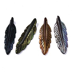 Mixed Color Natural Freshwater Shell Pendants, Dyed, Carved, Feather, Mixed Color, 42~43x12~13x4.5mm, Hole: 1.5mm