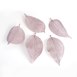 Purple Plated Electroplated Natural Leaf Big Pendants, with Iron Findings, Purple Plated, 55~85x25~40x1mm, Hole: 3x6mm