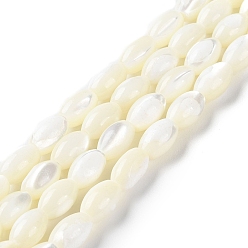 Floral White Natural Trochus Shell Beads Strands, Rice, Floral White, 8.5~9x5.5~6mm, Hole: 1mm, about 45~46pcs/strand, 15.35~15.98''(39~40.6cm)