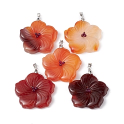 Red Agate Natural Red Agate Big Pendants, Peach Blossom Charms, with Platinum Plated Alloy Snap on Bails, 57x48x9mm, Hole: 6x4mm