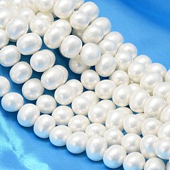Blanco Concha ovalada hebras de perlas de perlas, blanco, 12.5x11x10 mm, agujero: 1~1.2 mm, sobre 39 unidades / cadena, 15.74 pulgada