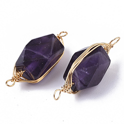 Amethyst Natural Amethyst Links connectors, Brass Wire Wrapped Links, Faceted, Column, Golden, 22.5~32x9~12x8~9mm, Hole: 1.2mm