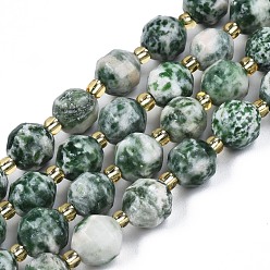 Green Spot Jasper Natural Green Spot Jasper Beads Strands, with Seed Beads, Faceted Bicone Barrel Drum, 7~8x7~8mm, Hole: 1mm, about 35~38pcs/strand, 13.82 inch~14.84 inch(35.1~37.7cm)