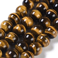 Tiger Eye Natural Tiger Eye Round Bead Strands, Grade A+, 10mm, Hole: 1mm, about 40pcs/strand, 15.5 inch