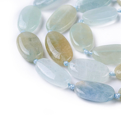 Aquamarine Natural Aquamarine Beads Strands, Oval, 14~16x8~9x3~5mm, Hole: 0.7mm, about 25pcs/strand, 16.7 inch(42.5cm)