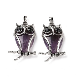Amethyst Natural Amethyst Pendants, with Antique Silver Tone Alloy Findings, Cadmium Free & Lead Free, Owl Charm, 50x32x9mm, Hole: 7x5mm