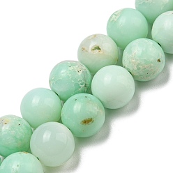 Chrysoprase Brins de perles de chrysoprase naturelles de qualité, ronde, 10mm, Trou: 0.8mm, Environ 40 pcs/chapelet, 15.39~15.47'' (39.1~39.3 cm)