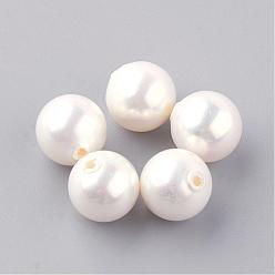 Creamy White Natural Sea Shell Beads, Half Drilled, Round, Creamy White, 10mm, Half Hole: 1mm