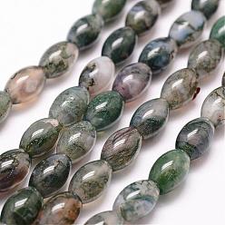 Moss Agate Natural Moss Agate Beads Strands, Rice, 12x8mm, Hole: 1.2mm, 33pcs/strand, 15.7 inch