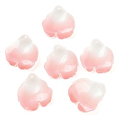 Pink Colgantes de acrílico, pétalo, rosa, 23x22x3 mm, agujero: 1.5 mm