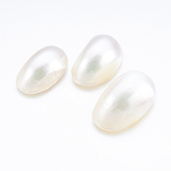 White Shell Natural White Shell Mother of Pearl Shell Cabochons, Oval, 31~40x21~22x11~12mm