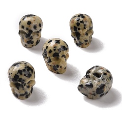 Dalmatian Jasper Natural Dalmatian Jasper Beads, Halloween Skull, 11~11.5x8.5~9x11~11.5mm, Hole: 0.9~1mm