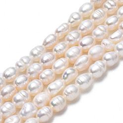 Seashell Color Natural Cultured Freshwater Pearl Beads Strands, Rice, Seashell Color, 3.5~5x3.5~4.5mm, Hole: 0.6mm, about 55~61pcs/strand, 13.70inch~13.78inch(34.8cm~35cm)