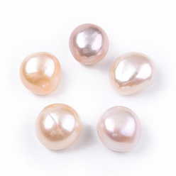 Color de la concha Perlas de keshi barrocas naturales, cuentas de perlas de agua dulce, ningún agujero, pepitas, color de concha, 12~13x8~10 mm
