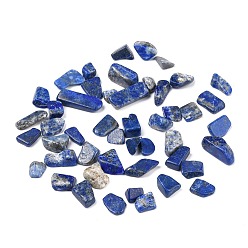 Lapislázuli Naturales lapis lazuli de Cuentas, sin agujero / sin perforar, chip, 8.5~23.5x7~8x2~7 mm, Sobre 704 unidades / 500 g