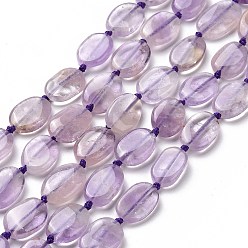 Amethyst Natural Ametheyst Beads Strands, Oval, 12~14x8~9x3.5mm, Hole: 1mm, about 27pcs/strand, 16.14''(41cm)