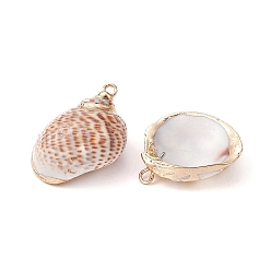 Seashell Color 6Pcs 6 Styles Electroplated Natural Spiral Shell Pendants, Shell Charms with Golden Plated Iron Loops, Seashell Color, 18~59x9~24x7~22mm, Hole: 1.2~1.6mm, 1pc/style