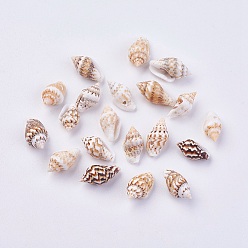 Autres Coquillages De Mer Perles de coquillages, 10~15x6~9mm, trou: 1.2 mm, environ 1500 pcs / 500 g