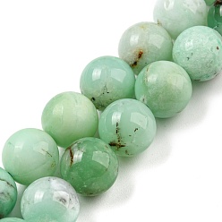 Chrysoprase Natural Chrysoprase Beads Strands, Round, 10mm, Hole: 0.9mm, about 38~40pcs/strand, 15.47''~15.87''(39.3~40.3cm)