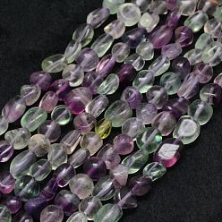 Fluorite Natural Fluorite Beads Strands, Tumbled Stone, Nuggets, 7~9x5~8mm, Hole: 1mm, about 55~61pcs/strand, 15.3 inch(39cm)