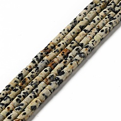 Далматинских Джаспер Природные яшмы далматин бисер нитей, колонка, 7~8x4 мм, отверстие : 0.9 мм, около 54 шт / нитка, 15.47'' (39.3 см)