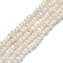 Beige Hilos de perlas de agua dulce cultivadas naturales, patata, crema, 2.5~3x3.5~4.5x3~4 mm, agujero: 0.5 mm, sobre 119~124 unidades / cadena, 13.78~13.90 pulgada (35~35.3 cm)
