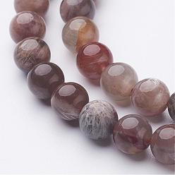 Pierre De Soleil Brins de perles de pierres noires naturelles, ronde, 7.9~8.5mm, Trou: 1mm, Environ 46~48 pcs/chapelet, 14.9 pouces (380 mm)
