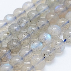 Labradorite Natural Labradorite Beads Strands, Round, 4mm, Hole: 1mm, about 98pcs/strand, 15.7 inch(40cm)