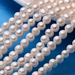 Marfil Hebras de perlas de perlas de agua dulce cultivadas naturales de papa, blanco cremoso, 7~8 mm, agujero: 0.8 mm, sobre 53~58 unidades / cadena, 13.5 pulgada ~ 14.9 pulgada