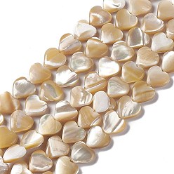 Verge D'or Brins de perles de coquille de trochid / trochus shell, cœur, verge d'or, 8.5~9.5x10x3~3.5mm, Trou: 0.5~0.6mm, Environ 44 pcs/chapelet, 15.16~15.35 pouce (38.5~39 cm)