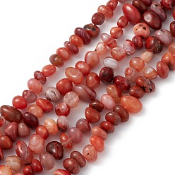 Agate Naturelle Brins de perles de pépites d'agate rouge teintes naturelles, 6~8.5x8~15.5x6~8.5mm, Trou: 1mm, Environ 57~60 pcs/chapelet, 15.75~16.14'' (40~41 cm)
