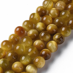 Gold Natural Tiger Eye Beads Strands, Round, Gold, 6~6.5mm, Hole: 1mm, about 62~63pcs/strand, 14.76 inch~14.96 inch(37.5~38cm)
