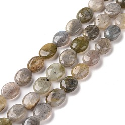 Labradorite Chapelets de perles labradorite naturelle , ovale, 9~11x8~8.5x4.5~5mm, Trou: 0.8mm, Environ 39 pcs/chapelet, 15.55 pouce (39.5 cm)