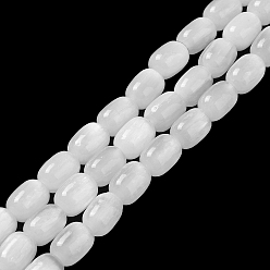 Blanco Hebras de cuentas de selenita natural, tambor, blanco, 12x8 mm, agujero: 1 mm, sobre 32 unidades / cadena, 15.51~15.55 pulgada (39.4~39.5 cm)