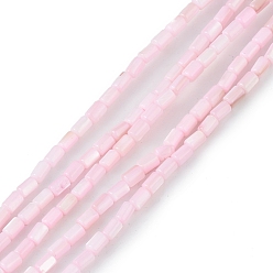 Pink Hebras de cuentas teñidas de concha natural de agua dulce, columna, rosa, 4.8x3 mm, agujero: 0.8 mm, sobre 78 unidades / cadena, 14.96'' (38 cm)
