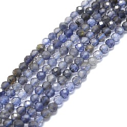 Iolite Brins de perles d'iolite / cordiérite / dichroite naturels, facette, ronde, 3mm, Trou: 0.7mm, Environ 132 pcs/chapelet, 15.16''~15.55'' (38.5~39.5 cm)