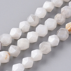 Crazy Agate Natural Crazy Agate Beads Strands, Star Cut Round Beads, Faceted, 6mm, Hole: 1mm, about 60pcs/strand, 15.16 inch(38.5cm)