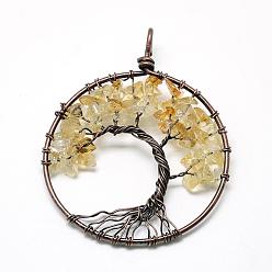Citrine Natural Citrine Chip Big Pendants, with Brass Wires, Tree, Red Copper, 62~65x48~53x5~10mm, Hole: 4mm