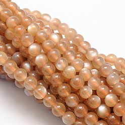 Peach Moonstone Natural Peach Moonstonee Beads Strands, Grade AA, Round, 4mm, Hole: 1mm, about 99pcs/strand, 15.74 inch