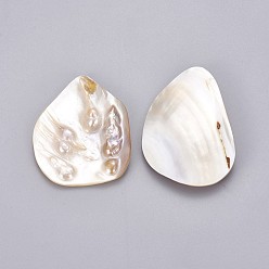 Autres Coquillages De Mer Perles de coquillages, pas de trous / non percés, nuggets, 55~79.5x26~51.5x8~10mm