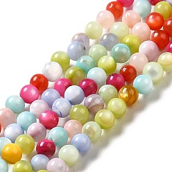 Coloré Teints d'eau douce naturelle perles de coquillage brins, ronde, colorées, 3mm, Trou: 0.5mm, Environ 129 pcs/chapelet, 15~15.16 pouce (38.1~38.5 cm)