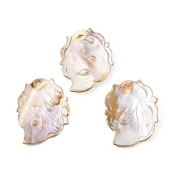Coquillage De Mer Galvanoplastie coquille perle gros pendentifs, charmes de feuilles, couleur de coquillage, 64x51x2~6mm, Trou: 2.6mm