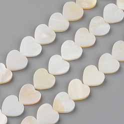 Seashell Color Natural Freshwater Shell Beads Strands, Heart, Seashell Color, 12.5x13x3mm, Hole: 1mm, about 30pcs/strand, 13.78 inch(35cm)