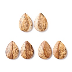 Picture Jasper Natural Picture Jasper Cabochons, Teardrop with Pattern, 25x18x4mm, about 2pcs/pair