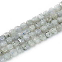 Labradorite Chapelets de perles labradorite naturelle , facette, cube, 6~6.5x6~6.5x6.5mm, Trou: 1mm, Environ 62 pcs/chapelet, 14.8 pouce (37.6 cm)