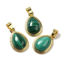 Malachite Natural Malachite Pendants, Teardrop Charms with Rack Plating Golden Tone Brass Findings, Cadmium Free & Lead Free, 23x14.5x5.8mm, Hole: 3.8x5.4mm
