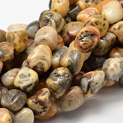 Crazy Agate Natural Crazy Agate Nuggets Bead Strands, Tumbled Stone, 13~18x10~13mm, Hole: 1mm, about 21~26pcs/strand, 15.74 inch